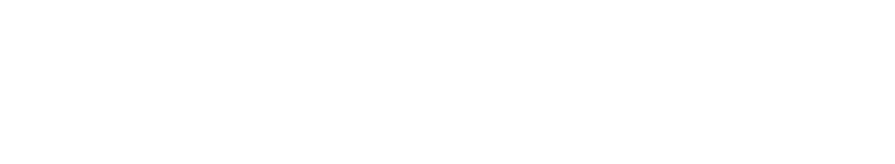 菲尼仕FNIX官网